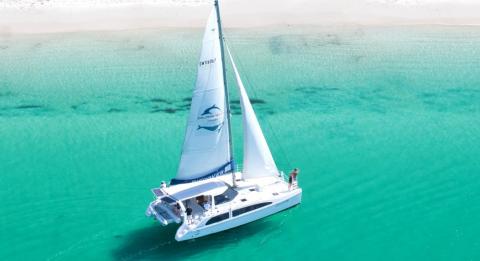 Dolphin Watch Cruises Jervis Bay 觀鯨遊船公司