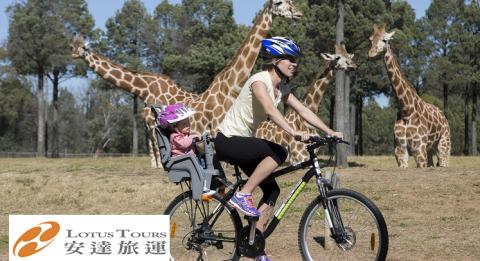 杜博(Dubbo),塔龍加西部平原動物園(Taronga Western Plains Zoo) Mother and daugher on bike riding past giraffes at Taronga Western Plains Zoo Dubbo