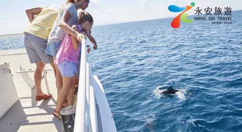 遊船觀海豚 A family enjoys whale and dolphin cruise at Nelson Bay, Port Stephens