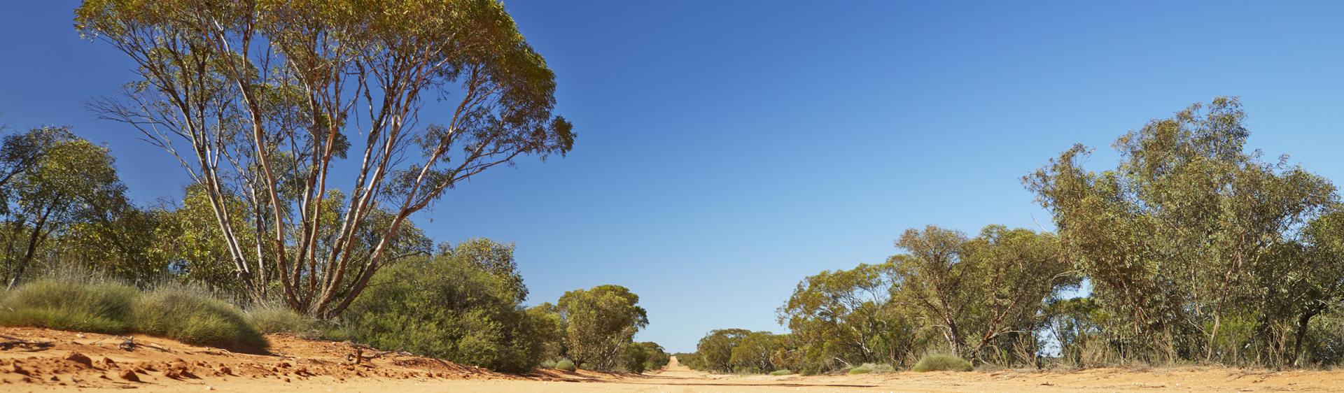 Mungo National Park track, Broken Hill