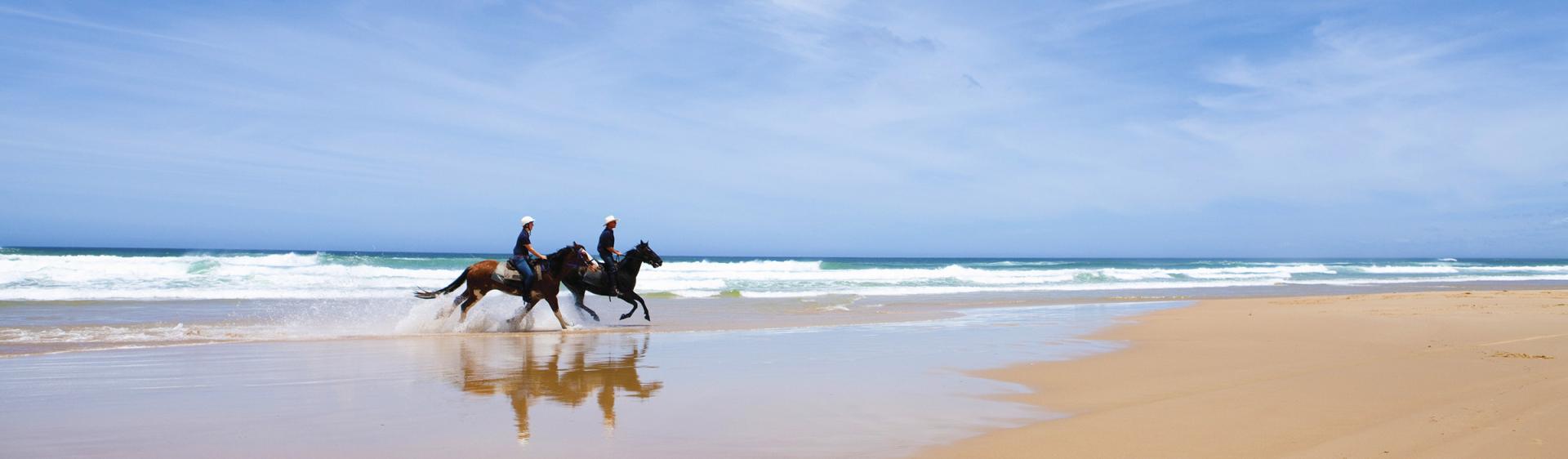Beach Horse Riding, Port Stephens