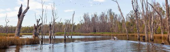 慕任比基河（Murrumbidgee River），納蘭德拉（Narrandera）
