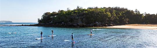 曼利（Manly）雪利海灘（Shelly Beach）立式單槳衝浪