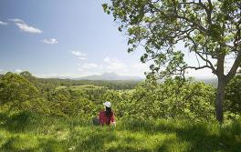 Tweed district, Northern Rivers