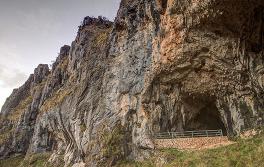 科修斯科山國家公園（Kosciuszko National Park）亞仁勾比利岩洞（Yarrangobilly Caves）
