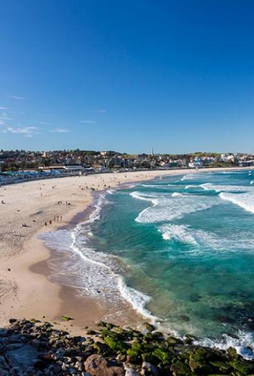 Beach goers arrive at Bondi Beach for a morning swim